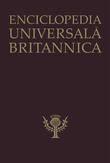 Litera Enciclopedia Universala Britannica Vol. 5