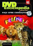 Erc Press DVD Enciclopedia Junior nr. 15. Pasi spre cunoastere – Felinele (carte + DVD)