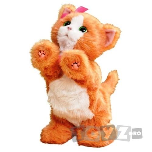 Hasbro FRF DAISY MY PLAYFULL KITTEN